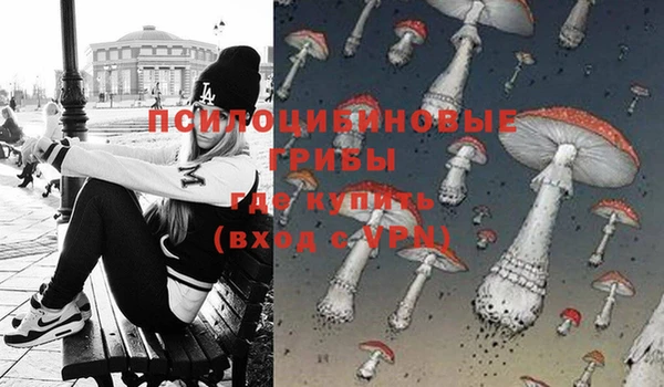 твердый Аркадак
