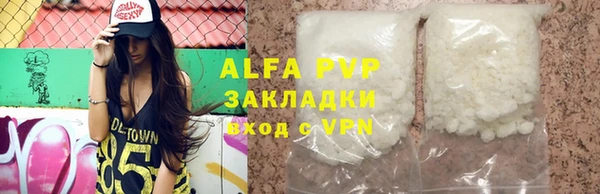 твердый Аркадак