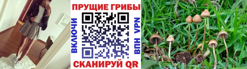Галлюциногенные грибы ЛСД Оханск